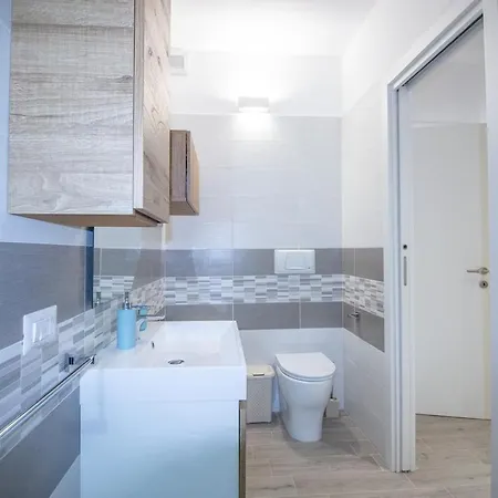 Cycas * 维拉西米乌斯